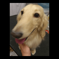 �g���~���O�摜�~�j�`���A�_�b�N�X�t���h25