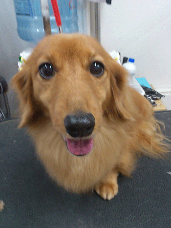 �~�j�`���A�_�b�N�X�t���h�g���~���O�摜26