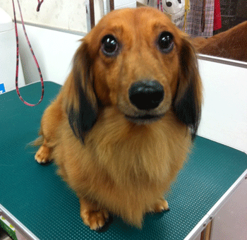 �~�j�`���A�_�b�N�X�t���h�g���~���O�摜3