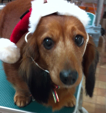 �~�j�`���A�_�b�N�X�t���h�g���~���O�摜30