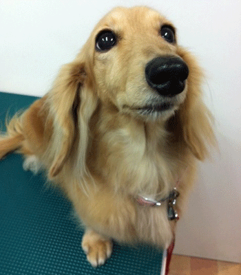 �~�j�`���A�_�b�N�X�t���h�g���~���O�摜31