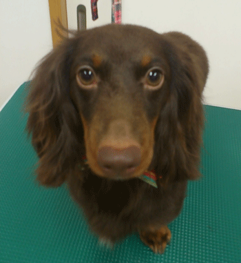 �~�j�`���A�_�b�N�X�t���h�g���~���O�摜34