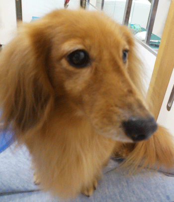 �~�j�`���A�_�b�N�X�t���h�g���~���O�摜36