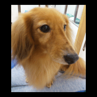 �g���~���O�摜�~�j�`���A�_�b�N�X�t���h36