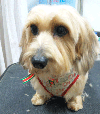 �~�j�`���A�_�b�N�X�t���h�g���~���O�摜37