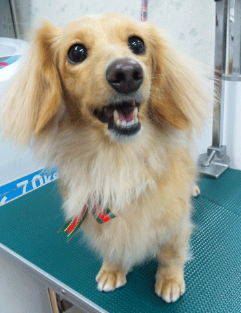 �~�j�`���A�_�b�N�X�t���h�g���~���O�摜39