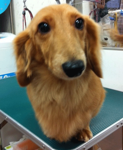 �~�j�`���A�_�b�N�X�t���h�g���~���O�摜4