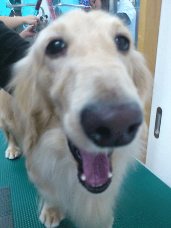 �~�j�`���A�_�b�N�X�t���h�g���~���O�摜43