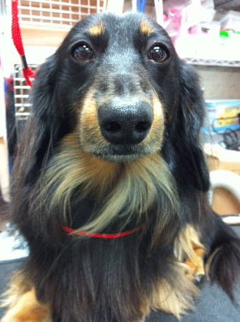 �~�j�`���A�_�b�N�X�t���h�g���~���O�摜45