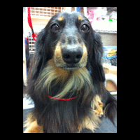 �g���~���O�摜�~�j�`���A�_�b�N�X�t���h45