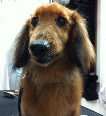 �~�j�`���A�_�b�N�X�t���h�g���~���O�摜46