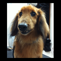 �g���~���O�摜�~�j�`���A�_�b�N�X�t���h46