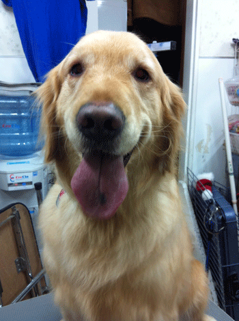 �~�j�`���A�_�b�N�X�t���h�g���~���O�摜47