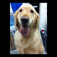 �g���~���O�摜�~�j�`���A�_�b�N�X�t���h47