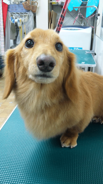 �~�j�`���A�_�b�N�X�t���h�g���~���O�摜48