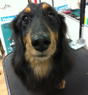 �~�j�`���A�_�b�N�X�t���h�g���~���O�摜5