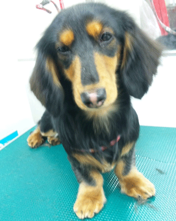 �~�j�`���A�_�b�N�X�t���h�g���~���O�摜53