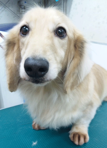 �~�j�`���A�_�b�N�X�t���h�g���~���O�摜54