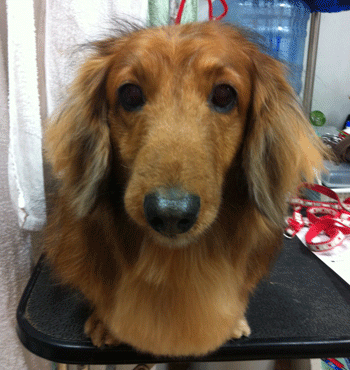 �~�j�`���A�_�b�N�X�t���h�g���~���O�摜55