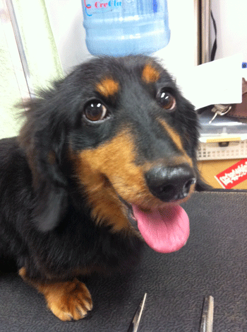 �~�j�`���A�_�b�N�X�t���h�g���~���O�摜56