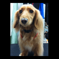 �g���~���O�摜�~�j�`���A�_�b�N�X�t���h57