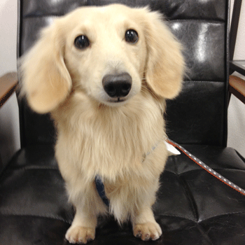 �~�j�`���A�_�b�N�X�t���h�g���~���O�摜61