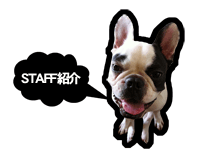 staff�Љ�/�����L���h�b�Oimg�摜