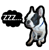 �y�b�g�z�e��/�����L���h�b�Oimg�摜