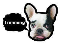 �g���~���O/�����L���h�b�Oimg�摜