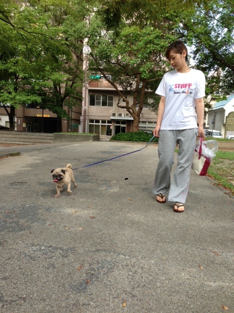 �����y�b�g�z�e���摜3