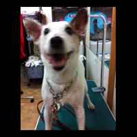 �g���~���O�摜�W���b�N���b�Z���e���A1