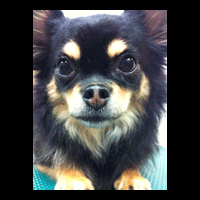 �g���~���O�摜�`����2