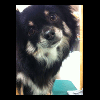 �g���~���O�摜�`����3