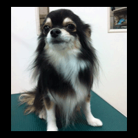 �g���~���O�摜�`����6