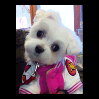 �g���~���O�摜�}���`�[�Y1