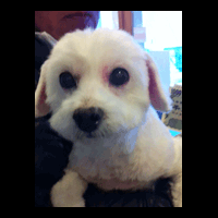 �g���~���O�摜�}���`�[�Y2