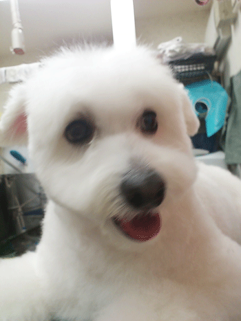 �}���`�[�Y�g���~���O�摜3