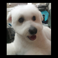 �g���~���O�摜�}���`�[�Y3