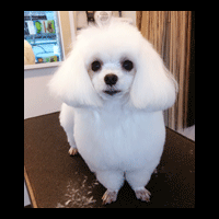 �g���~���O�摜�}���`�[�Y5