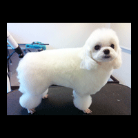 �g���~���O�摜�}���`�[�Y6