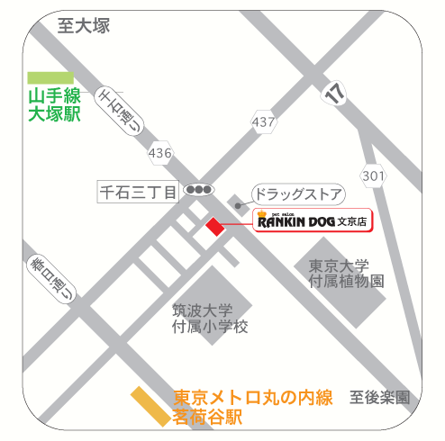 �g���~���O�T����Rankindog_�A�N�Z�X�}�b�v����