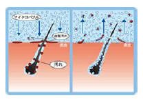 �}�C�N���o�u���摜