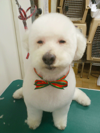 �~�b�N�X���g���~���O�摜1