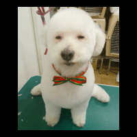 �g���~���O�摜�~�b�N�X��1