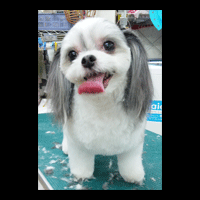 �g���~���O�摜�~�b�N�X��10