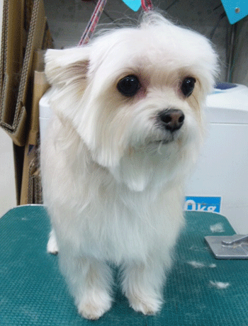 �~�b�N�X���g���~���O�摜12