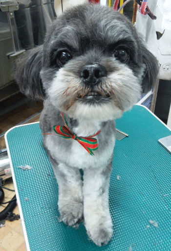 �~�b�N�X���g���~���O�摜5