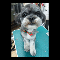 �g���~���O�摜�~�b�N�X��5