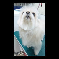 �g���~���O�摜�~�b�N�X��6