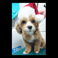 �g���~���O�摜�~�b�N�X��8